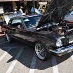 DSC_0149_00106 (October 07, 2023)